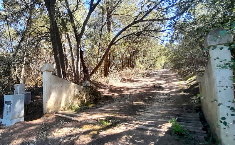 0 Bedroom Property for Sale in Hogsback Eastern Cape